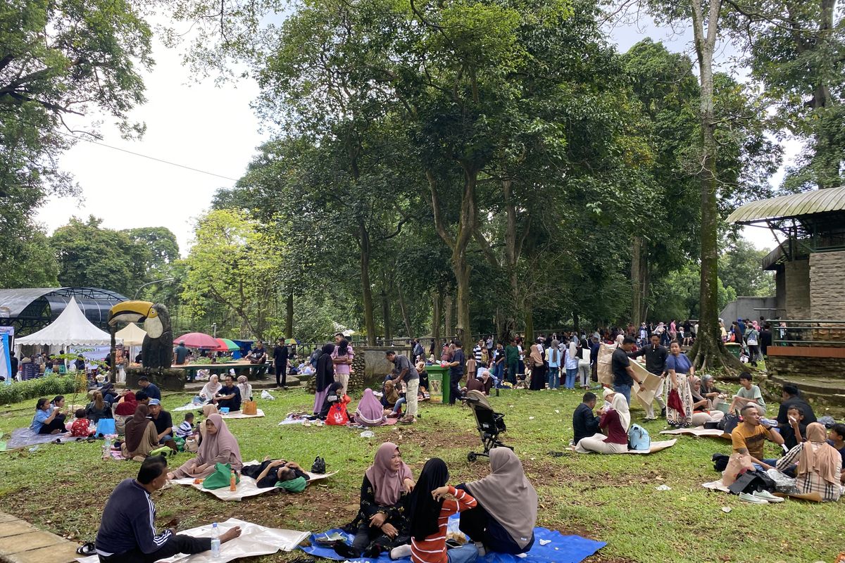 Taman Margasatwa Ragunan, Harga Tiket Masuk Ragunan 2026 Lengkap, Termasuk Night at Ragunan Zoo