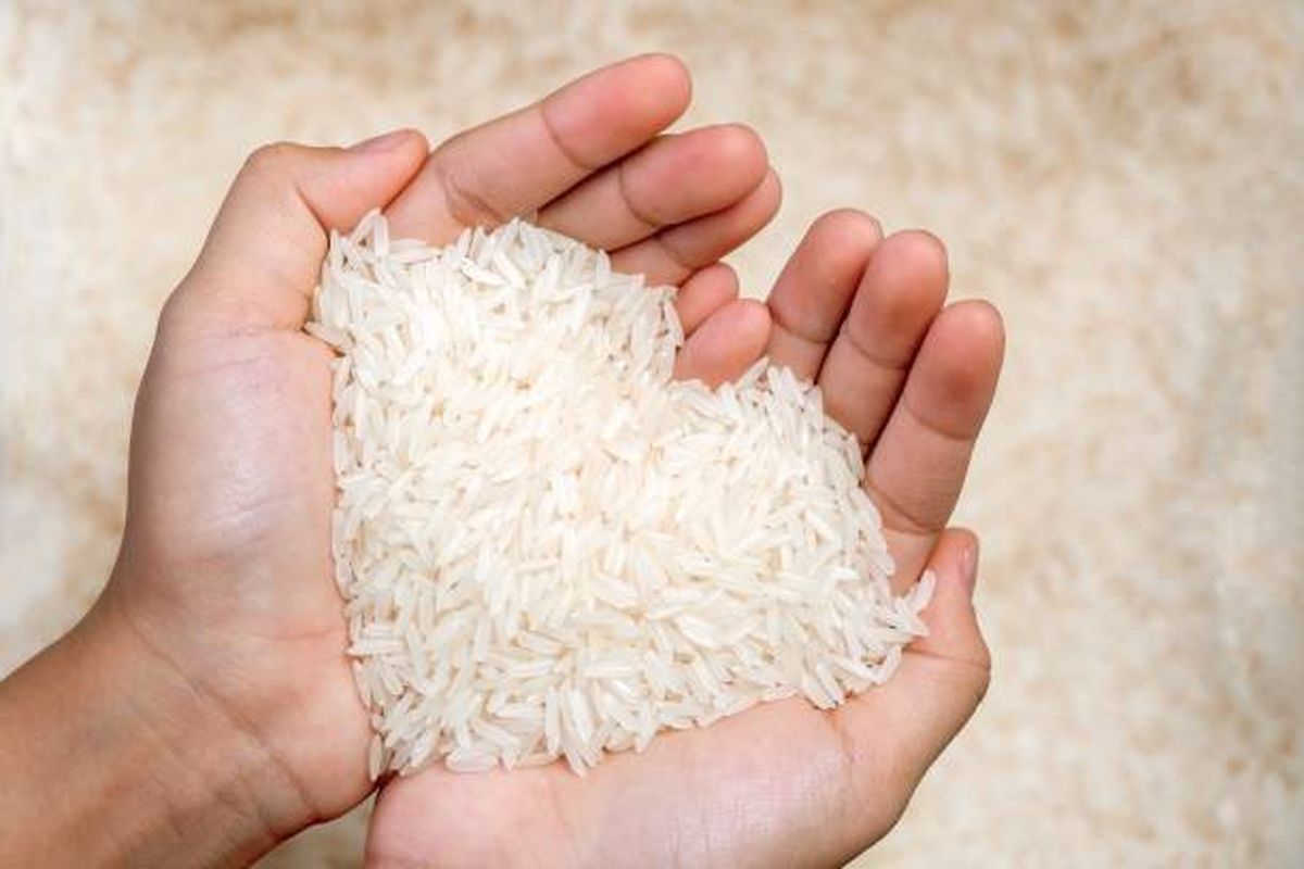 beras, Zulhas, impor beras, Indonesia Setop Impor, Menko Pangan Zulhas Sebut Harga Beras Dunia Turun Tajam