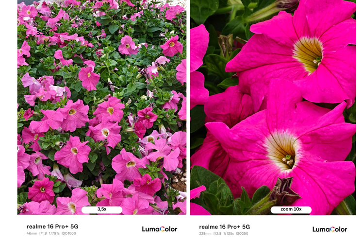 Realme, Hasil Foto Zoom 3,5x Portrait Realme 16 Pro Plus 5G yang Belum Resmi Rilis, Detail tajam dan blur rapi, Detail dan kombinasi warna yang stabil, Perbandingan hasil normal dan crop, Warna bunga lebih pekat, Warna makanan dan detail arsitektur