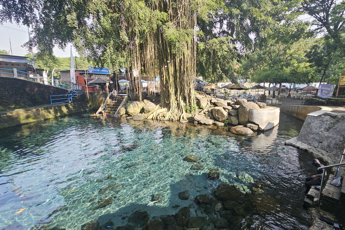 Agus, tiket masuk gratis, tiket gratis tmii, promo Agustus 2025, Pemilik Nama Agus, Ini 5 Tempat Wisata Gratis yang Bisa Dikunjungi Bulan Agustus 2025, Animalium BRIN Cibinong, SantaSea Water Theme Park Sukabumi, Florawisata D’Castello Ciater, Umbul Sigedang Klaten