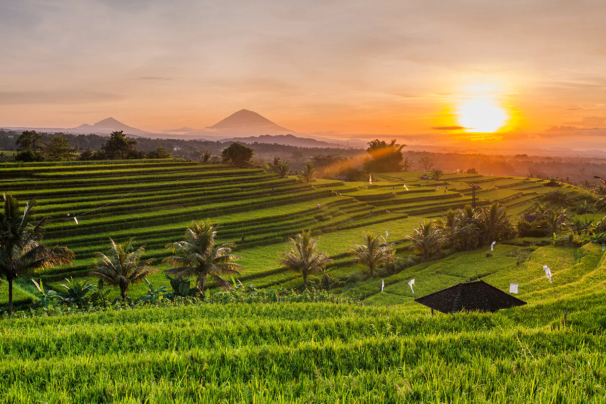 desa wisata, Bali, 5 Desa Wisata di Bali dengan Budaya yang Kuat, Cocok untuk Liburan Bareng Anak, 1. Desa Ubud, Gianyar, 2. Desa Tenganan, Karangasem, 3. Desa Batubulan, Gianyar, 4. Desa Penglipuran, Bangli, 5. Desa Trunyan, Bangli