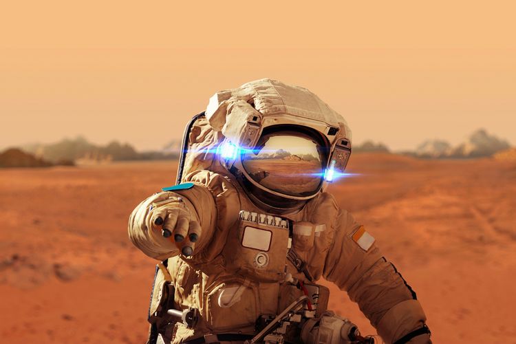 AQ adalah, Selain IQ dan EQ, Ada AQ, Anda Tipe Ahli Bedah, Damkar, atau Astronot?, 1. Si ahli bedah saraf, 2. Sang novelis, 3. Si pemadam kebakaran, 4. Sang astronot