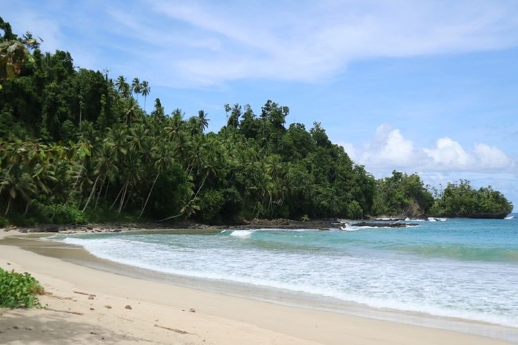 Desa Wisata, kampung nelayan, Wisatawan, mangrove, Perang Dunia II, wellness tourism, konservasi, wisatawan, desa wisata, destinasi wisata, Menemukan Keseimbangan Hidup di Morotai, Ketika Laut Jadi Guru dan Masyarakat Jadi Sahabat
