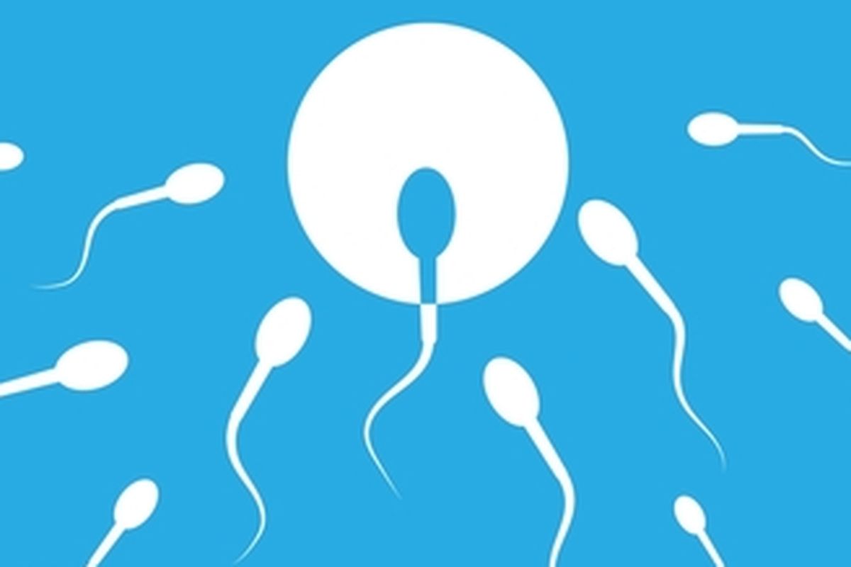Azoospermia, bayi tabung, azoospermia, gangguan kesuburan, tidak punya sperma, Teknologi AI Bantu Memilih Sperma untuk Program Kehamilan