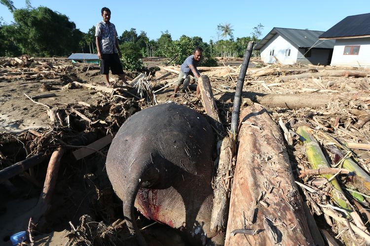 banjir dan tanah longsor, Menteri Lingkungan Hidup, Menteri Kehutanan, Menteri ESDM, YLBHI, menteri kehutanan, bencana di sumatera, banjir di Sumatera, Dari Bencana di Sumatera Peran 3 Menteri Disorot: Menhut, Menteri LH, Menteri ESDM