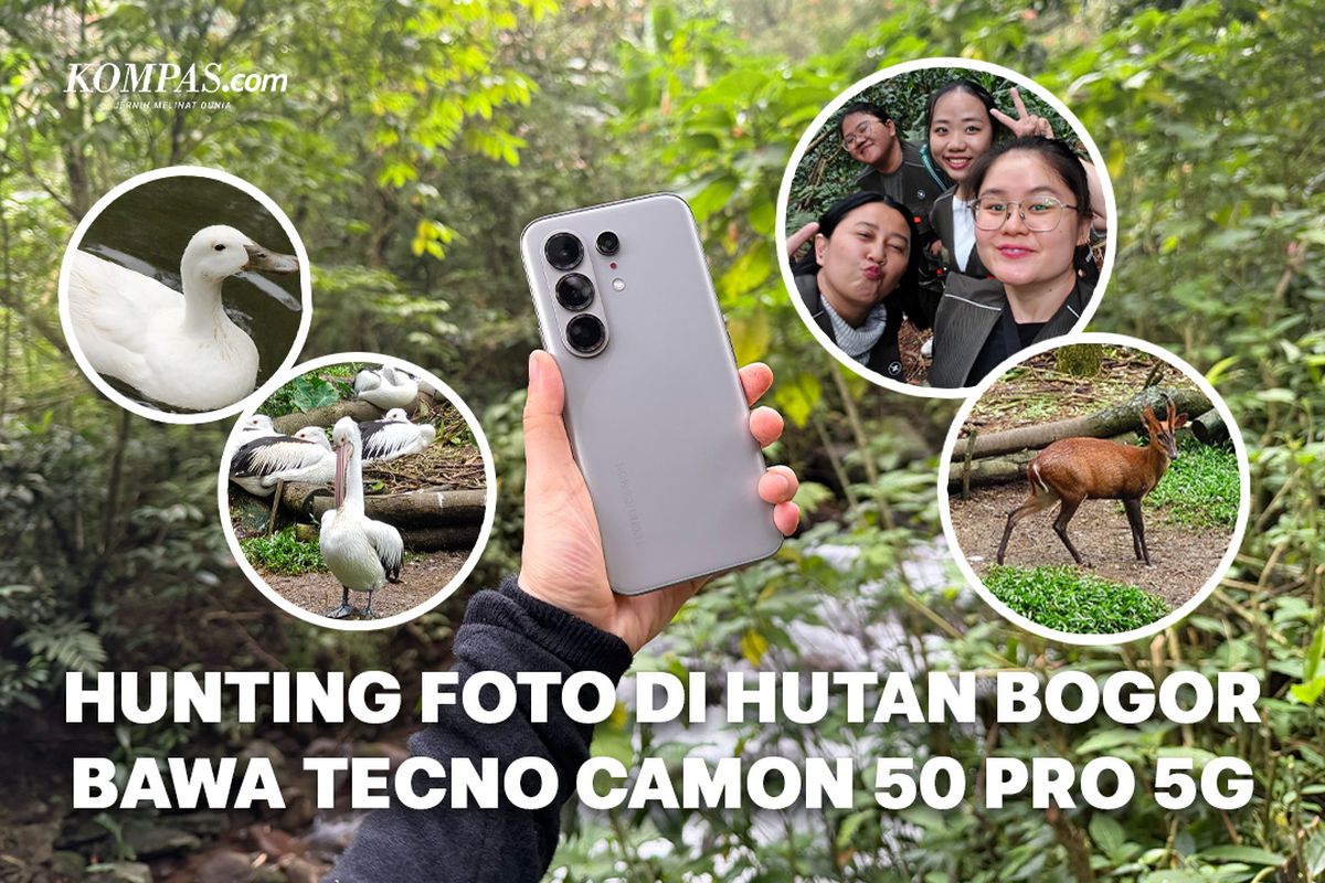 Camon 50 Pro 5G, Smartphone, Tecno Camon 50 Pro 5G, hasil foto, Memotret Alam Bogor dengan Tecno Camon 50 Pro 5G, Zoom Jadi Andalan