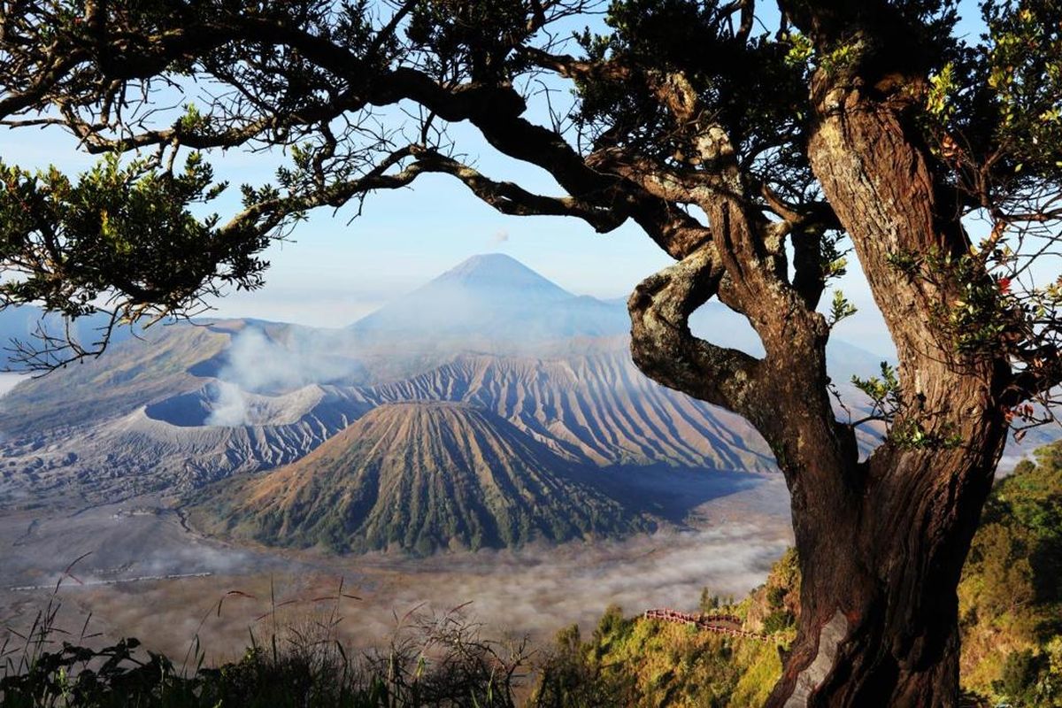 Bromo Tengger Semeru, Liburan ke Bromo? Ini 6 Aktivitas yang Wajib Dicoba, 1. Menikmati matahari terbit (sunrise), 2. Menjelajahi kawah Gunung Bromo, 3. Menjelajah Lautan Pasir, 4. Mengunjungi Bukit Teletubbies, 5. Menikmati ketenangan di Pasir Berbisik, 6. Menyaksikan budaya Suku Tengger
