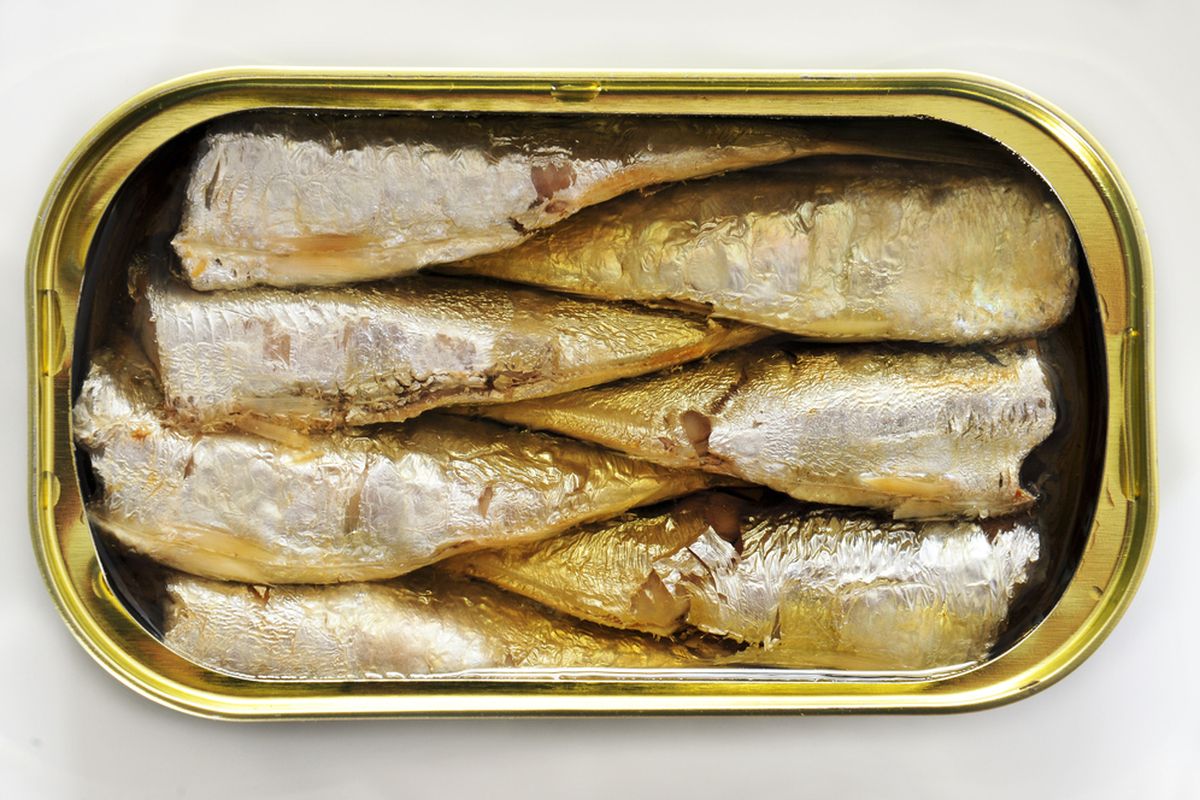 manfaat sarden untuk diet, Manfaat sarden untuk diet, makanan sehat untuk diet, Ikan sarden, manfaat makan ikan sarden, ikan sarden mengandung apa, nutrisi sarden, makan sehat dan bergizi, Apakah Sarden Baik untuk Diet? Ini Manfaat dan Risikonya