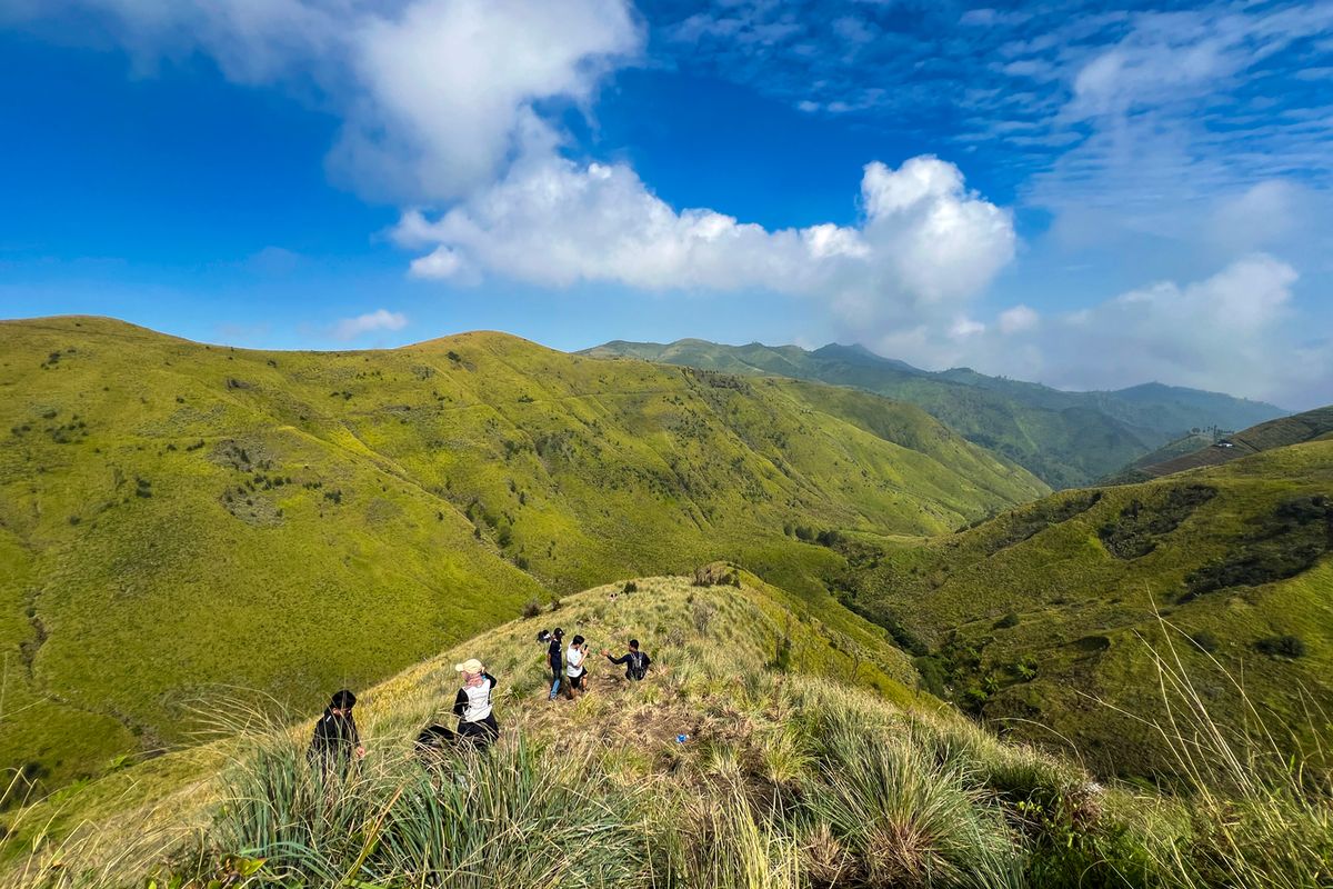 Bukit Premium, Pasuruan, camping di Bukit Premium, bukit premium, bukit premium pasuruan, Camping di Bukit Premium, Tarif Camping di Bukit Premium, Padang Sabana Eksotis di Jawa Timur