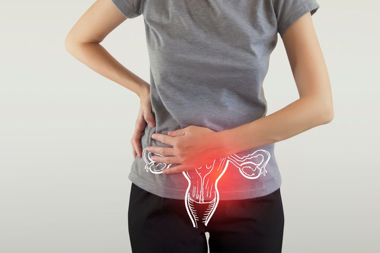 Kanker ovarium, kanker ovarium, faktor risiko kanker ovarium, gejala kanker ovarium, gejala kanker ovarium stadium awal, dokter obstetri dan ginekologi, ovarian cancer adalah, apa itu kanker ovarium, Siapa yang paling berisiko mengembangkan kanker ovarium, 5 Faktor Risiko Kanker Ovarium yang Harus Diwaspadai Perempuan Menurut Dokter, 1. Menstruasi dini dan menopause terlambat, 2. Tidak pernah hamil, 3. Riwayat kanker dalam keluarga, 4. Obesitas, 5. Usia di atas 50 tahun