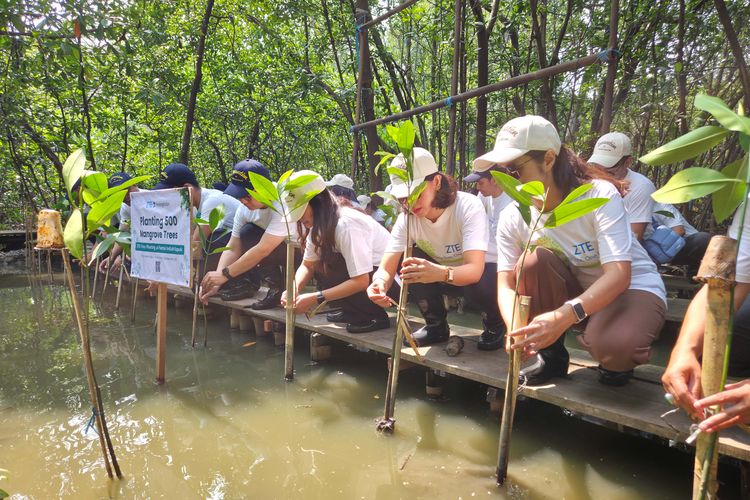 Mangrove, One Tree One Future, ZTE Wujudkan Misi 
