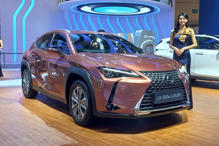 Mobil listrik bekas, mobil listrik bekas, harga mobil listrik bekas, banderol mobil listrik bekas, Harga Mobil Listrik Bekas Juni 2025, Ioniq mulai Rp 350 Juta, Hyundai Kona Electric , Hyundai Ioniq, Lexus UX300e, Tesla Model S 