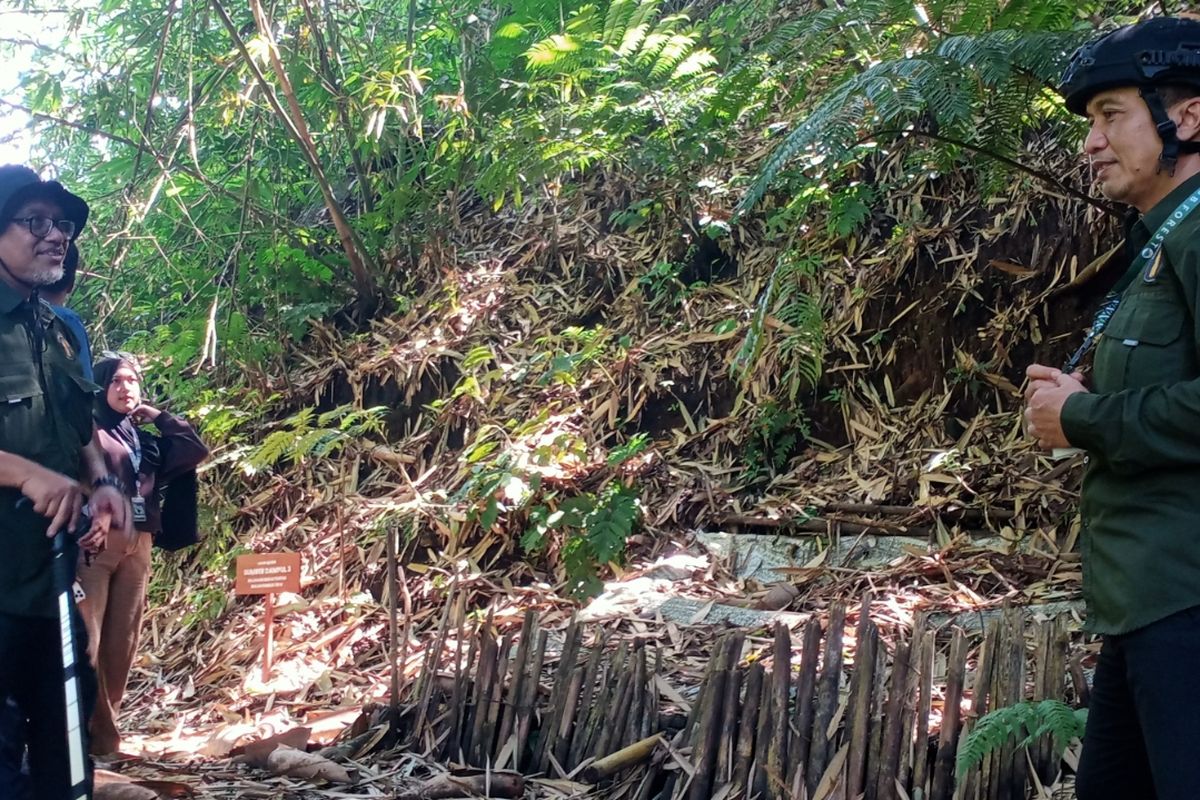 rekreasi, Kota Malang, alam, hutan, Jelajah Hutan UB Forest Malang, Wisata di Lereng Gunung Arjuno