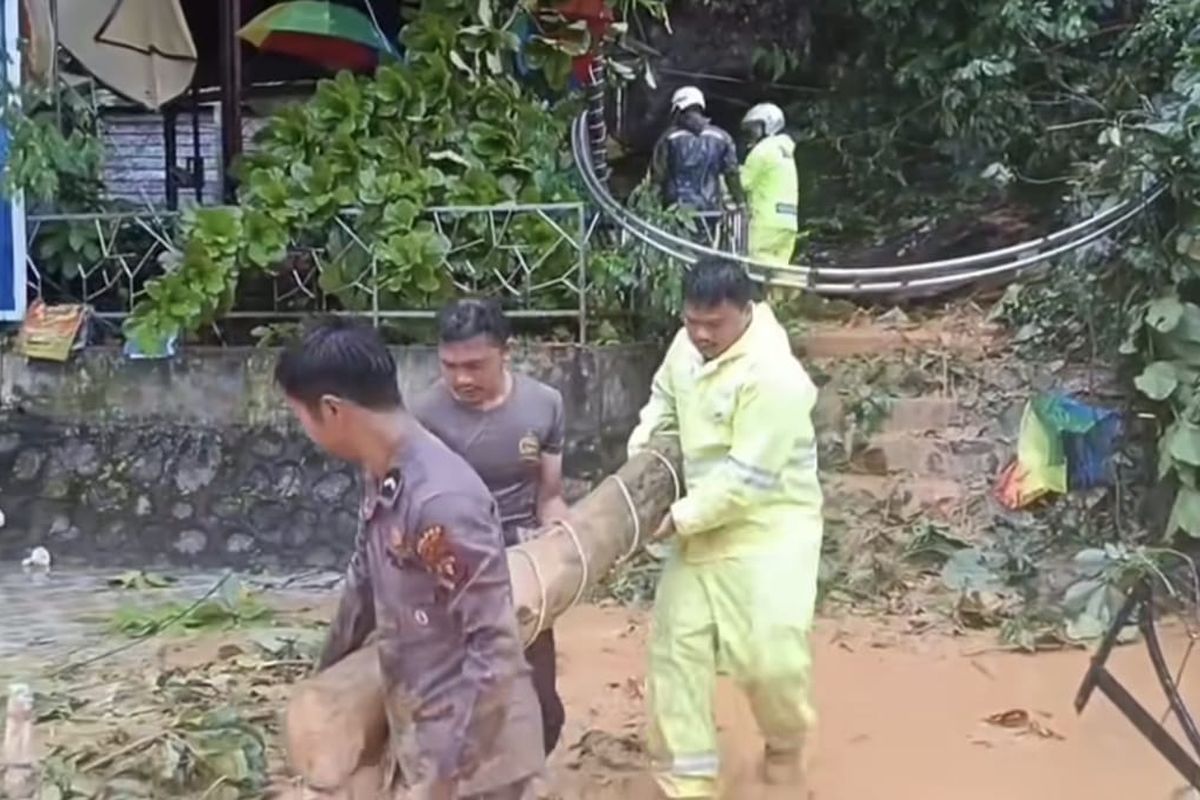 Banjir Sumut, longsor Sumatera Utara, banjir sibolga, longsor sibolga, Update Korban Bencana di Sibolga: 33 Meninggal, 56 Orang Masih Hilang