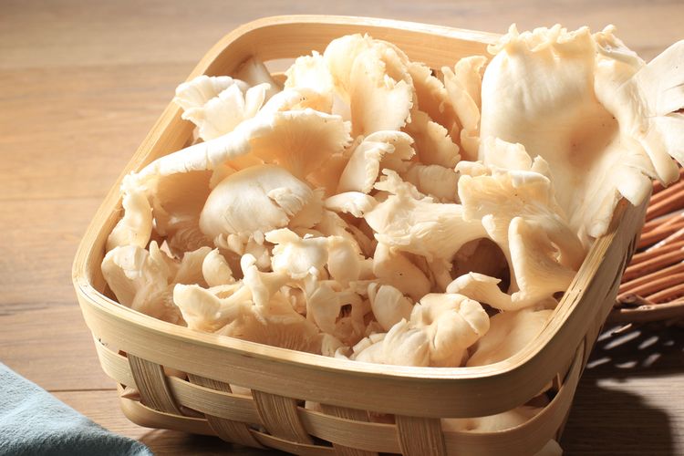 bahan dapur, cara bikin kaldu jamur tiram, kaldu jamur alami, cara membuat kaldu jamur alami, pengganti MSG alami, kaldu jamur buatan rumah, Cara Bikin Kaldu dari Jamur Tiram, Gurih Alami Tanpa MSG, Kenapa Memilih Kaldu Jamur Tiram, Persiapan Membuat Kaldu Jamur Tiram, Langkah-Langkah Membuat Kaldu dari Jamur Tiram, Cara Menggunakan Kaldu Jamur Tiram, Tips Agar Kaldu Jamur Lebih Gurih dan Awet