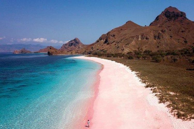 pantai, Pink Beach, Pantai di Indonesia Ini Masuk Daftar 50 Pantai Terbaik di Dunia Tahun 2026