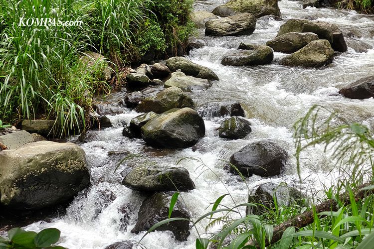 Camon 50 Pro 5G, Smartphone, Tecno Camon 50 Pro 5G, hasil foto, Memotret Alam Bogor dengan Tecno Camon 50 Pro 5G, Zoom Jadi Andalan