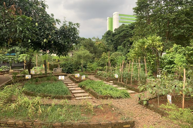 agroeduwisata ragunan, aktivitas di Agroeduwisata Ragunan, lokasi Agroeduwisata Ragunan, ada apa saja di Agroeduwisata Ragunan, apakah masuk Agroeduwisata Ragunan bayar, Lokasi, Aktivitas, dan Cara Berkunjung ke Agroeduwisata Ragunan