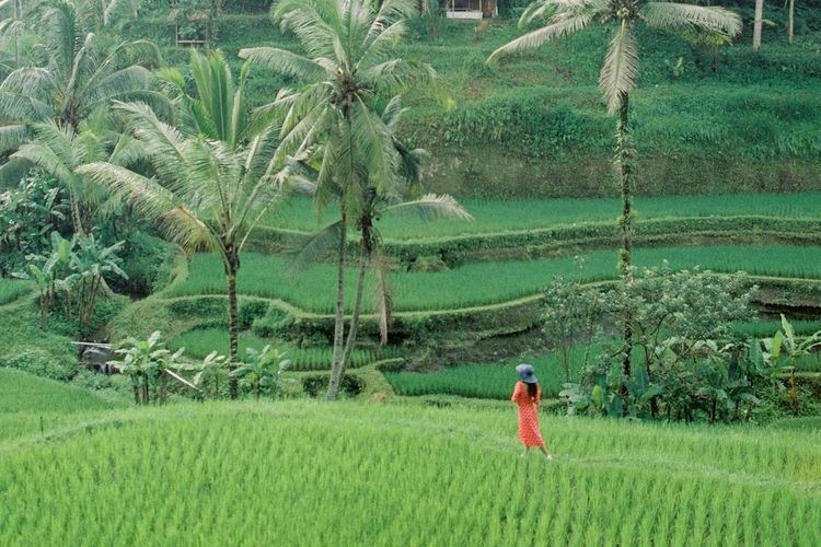Kementerian Pariwisata, RUU Kepariwisataan, DPR Sahkan RUU Kepariwisataan, DPR Setujui RUU Kepariwisataan, DPR Sahkan RUU Kepariwisataan Jadi Undang-Undang, Apa Substansinya?