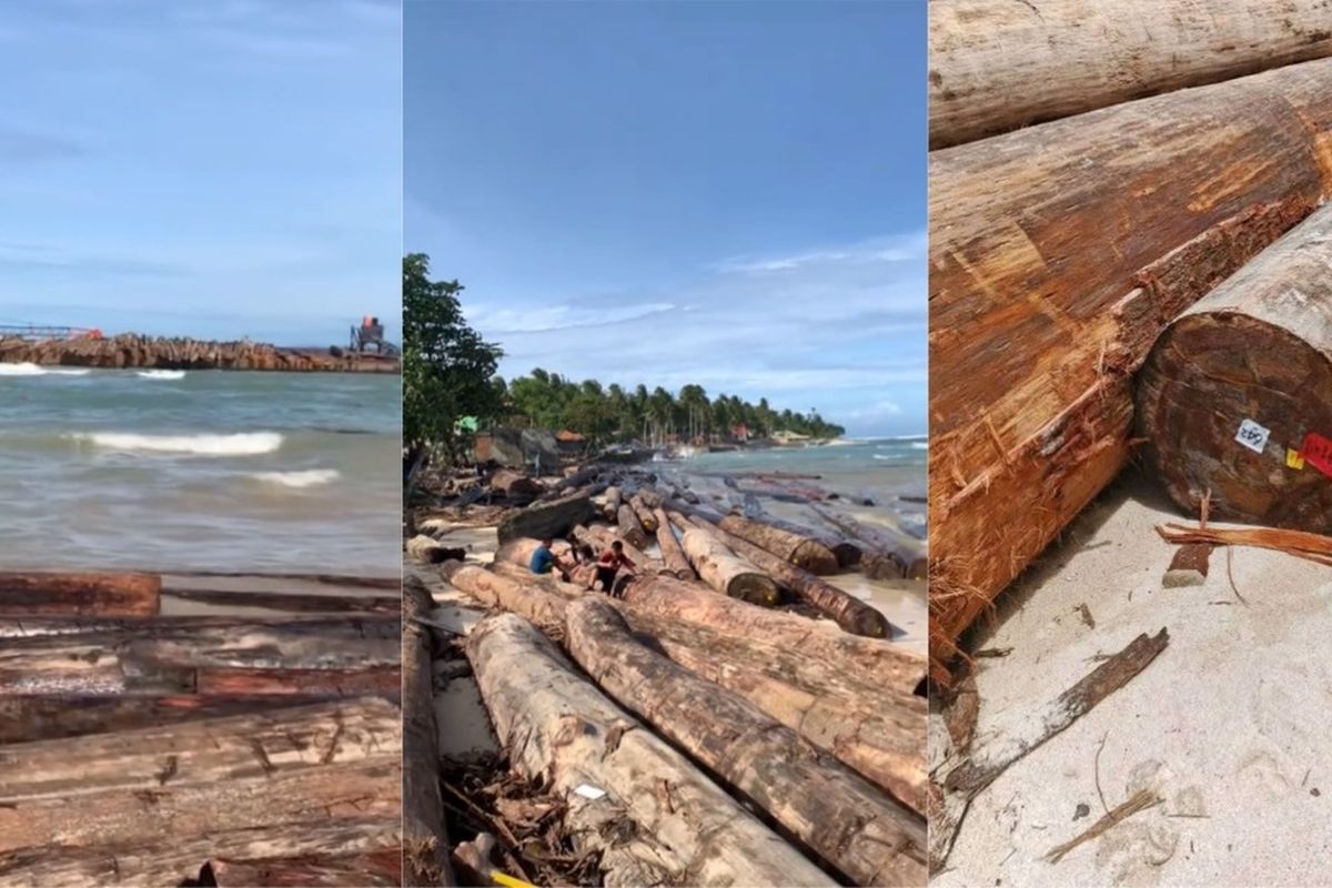 Polda Lampung, kayu gelondongan, kapal terdampar, polda lampung, kapal pengangkut kayu, kapal pengangkut kayu terdampar di lampung, Kronologi Kapal Pengangkut Kayu Sumbar Terdampar di Lampung, Polisi Temukan Barcode Perusahaan