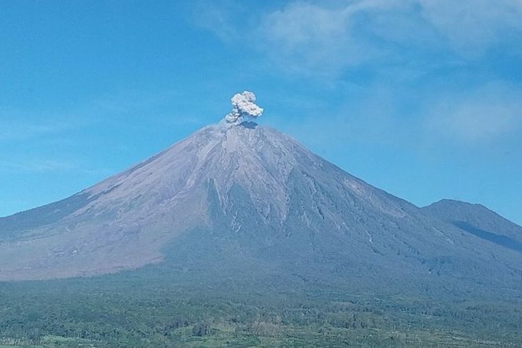 Gunung Semeru, Erupsi Gunung Semeru Hari Ini, Tinggi Letusan hingga 1.000 Meter
