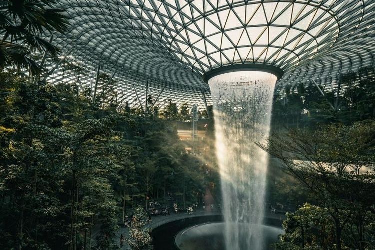TransNusa, Transnusa, transnusa, jadwal transnusa jakarta singapura, Transnusa rute jakarta singapura, jadwal penerbangan jakarta singapura, jadwal transnusa, TransNusa Rute Jakarta-Singapura Kini Terbang 2 Kali Sehari, Catat Jadwalnya