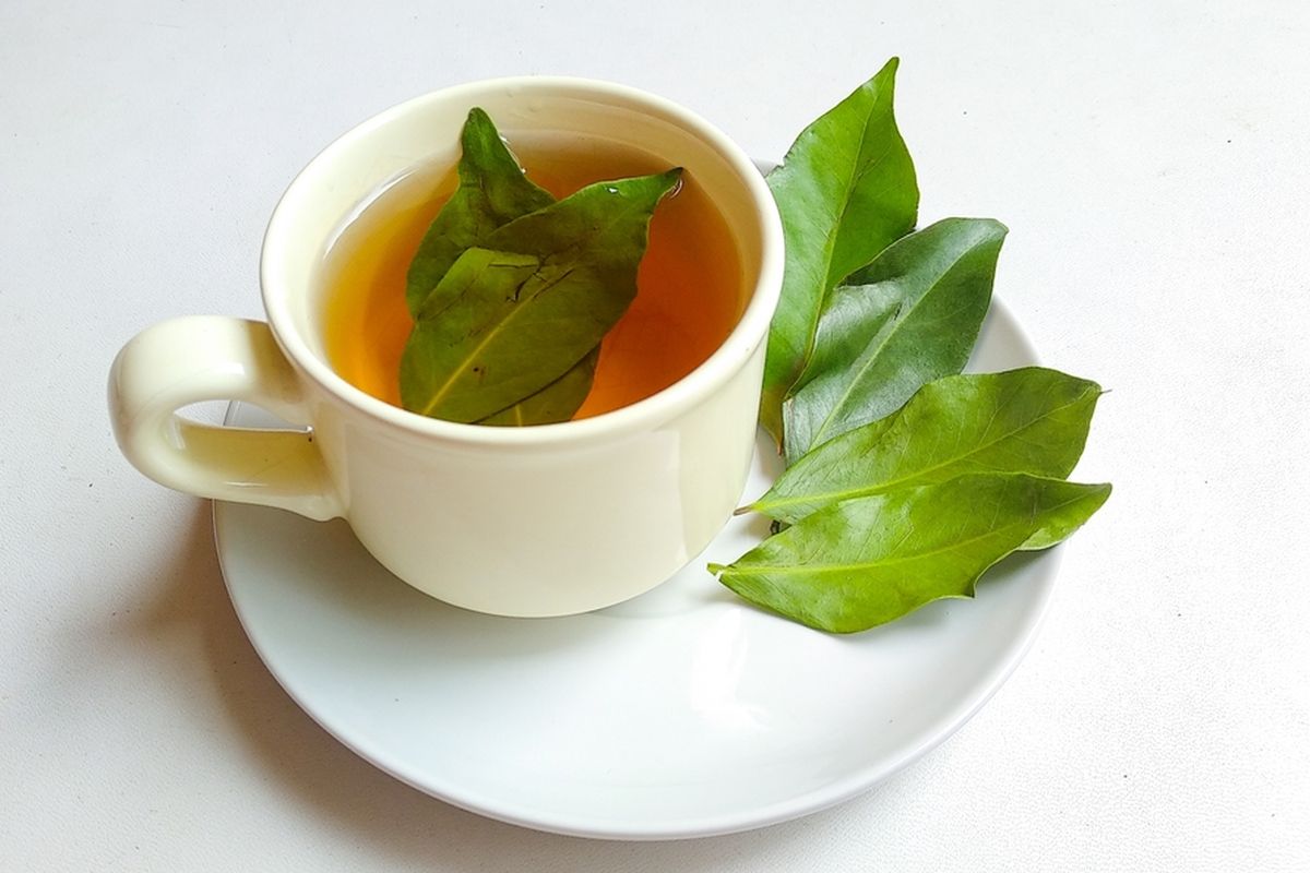 Daun salam, daun salam, salam, manfaat daun salam untuk kesehatan, Daun Salam, Manfaat Daun Salam untuk Kesehatan, manfaat daun salam, manfaat daun salam untuk apa saja, daun salam bisa mengobati penyakit, 11 Manfaat Daun Salam untuk Kesehatan, dari Atasi Nyeri Perut hingga Mengurangi Kecemasan