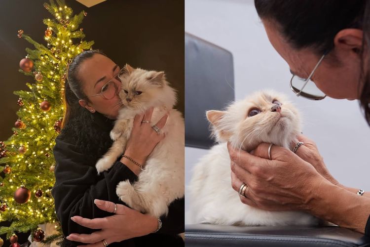 Choupette, Fendi, Kisah Choupette, Kucing Karl Lagerfeld yang Dapat Warisan Triliunan Rupiah