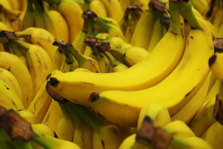 pisang raja, pisang kepok, pisang tanduk, jenis pisang untuk pisang goreng, jenis pisang untuk pisang goreng madu, jenis pisang untuk membuat pisang goreng, pisang uli, Rahasia Pisang Goreng Manis &amp; Tidak Lembek, Pakai 5 Jenis Pisang Ini, 1. Pisang Kepok, 2. Pisang Raja, 3. Pisang Uli, 4. Pisang Nangka, 5. Pisang Tanduk
