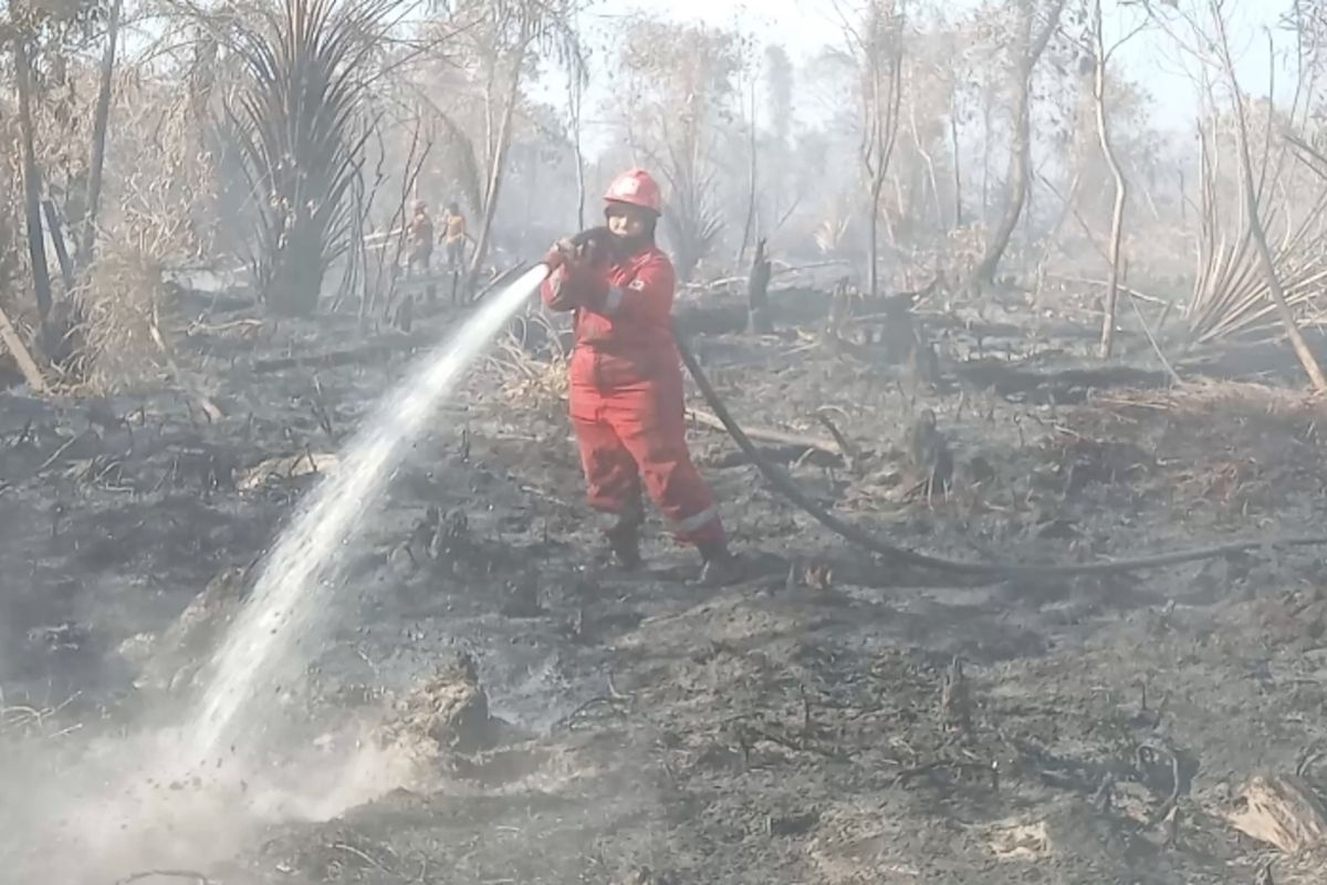 Masitoh, Manggala Agni, Pekanbaru, karhutla, Riau, lahan gambut, kebakaran lahan gambut, Karhutla, kebakaran gambut, karhutla 2025, pemadam kebakaran perempuan, Suka Duka Masitoh, Ibu Lima Anak yang 19 Tahun Hadapi Karhutla di Riau