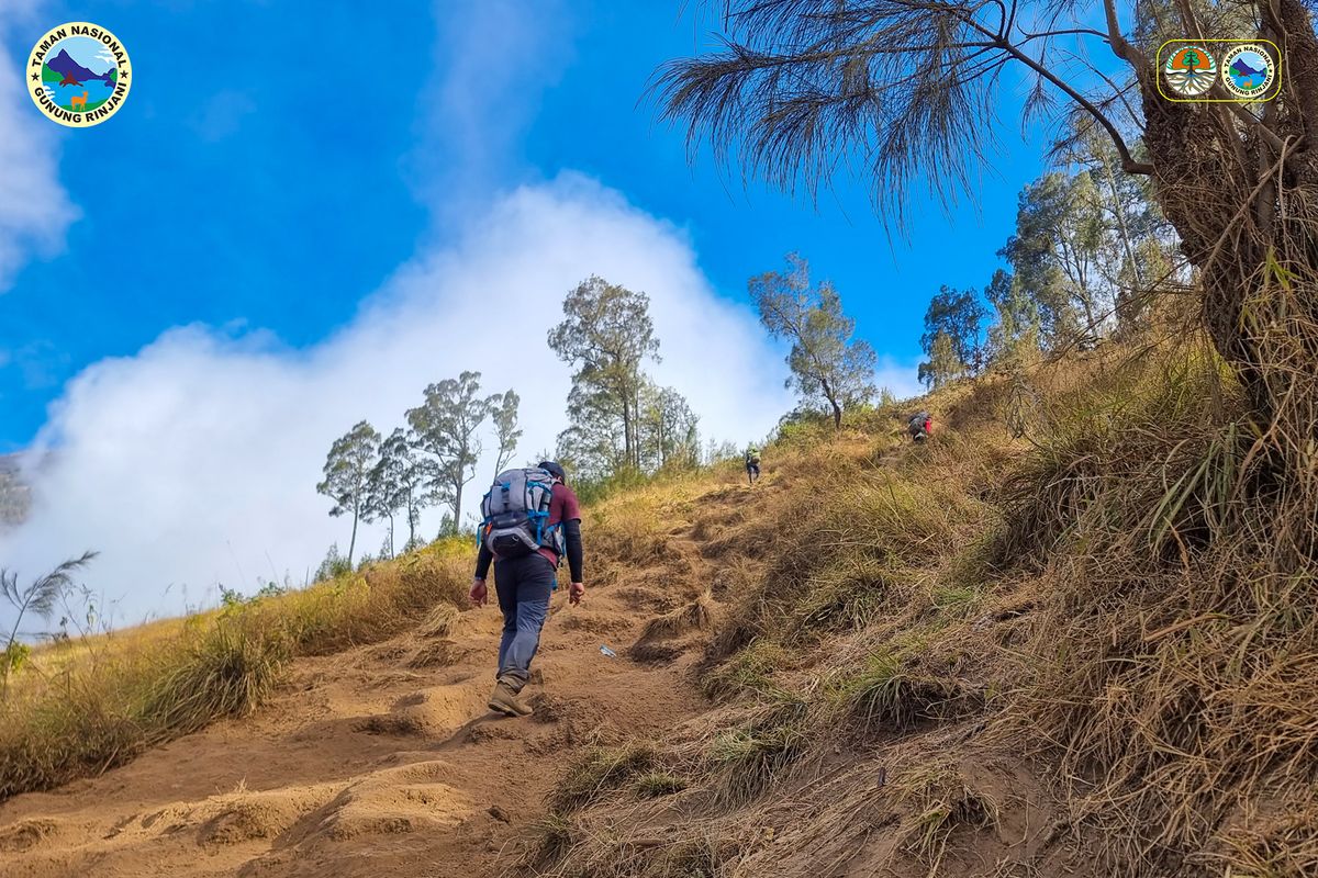 syarat pendakian Gunung Rinjani, Syarat pendakian Gunung Rinjani, syarat mendaki gunung rinjani, syarat pendakian gunung rinjani, syarat pendakian gunung rinjani terbaru 2025, tarif pendakian gunung rinjani, cara beli tiket gunung rinjani 2025, cara beli tiket gunung rinjani online, harga tiket gunung rinjani 2025, Syarat Pendakian Gunung Rinjani 2025, 7 Syarat Pendakian Gunung Rinjani 2025, Wajib Punya E-Ticket, 1. Wajib beli tiket masuk online, 2. Jumlah pendaki minimal dua orang, 3. Ketentuan jumlah pemandu, 4. Bawa wadah makanan dan minuman yang bisa dipakai ulang, 5. Catat jam check in dan check out, 6. Wajib bayar biaya overtime, 7. Bisa reschedule maksimal satu hari sebelumnya