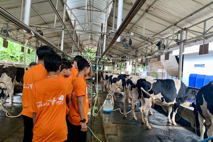 cibugary farm jakarta timur, harga tiket masuk cibugary farm, wisata perah susu sapi di jakart, Harga Tiket Masuk Cibugary Farm 2025, Bisa Perah Susu Sapi di Jakarta