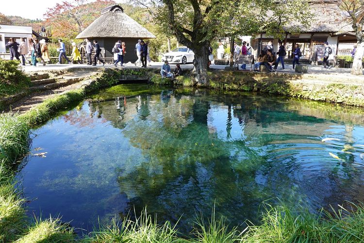 Oshino Hakkai, Bukan Keberuntungan, 50.000 Koin Turis Cemari Air Kolam di Jepang