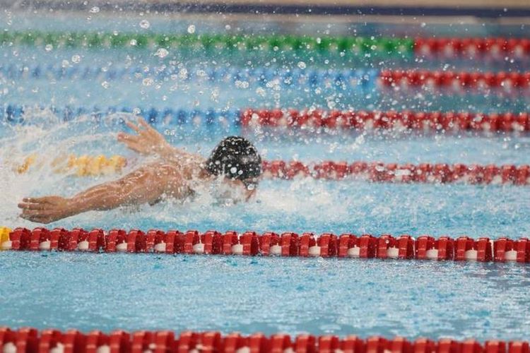 SEA Games 2025, Farrel Armandio Tangkas, tim renang Indonesia, medali emas, Prestasi Renang Indonesia di SEA Games 2025: 3 Medali Emas, 3 Perak, 5 Perunggu