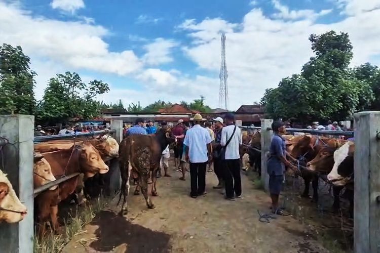 Lebaran Haji, Idul Adha, Kementerian Agama, Idul Kurban, hewan kurban, Mengapa Idul Adha Disebut Lebaran Haji?