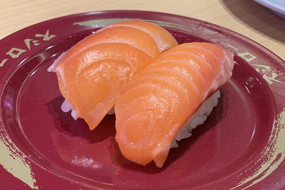 beda salmon dan trout, beda salmon trout dan norway, beda ikan salmon dan trout, beda daging salmon dan trout, ikan trout dan salmon apakah sama, Ikan untuk Sushi, Apakah Salmon dan Trout Berbeda?