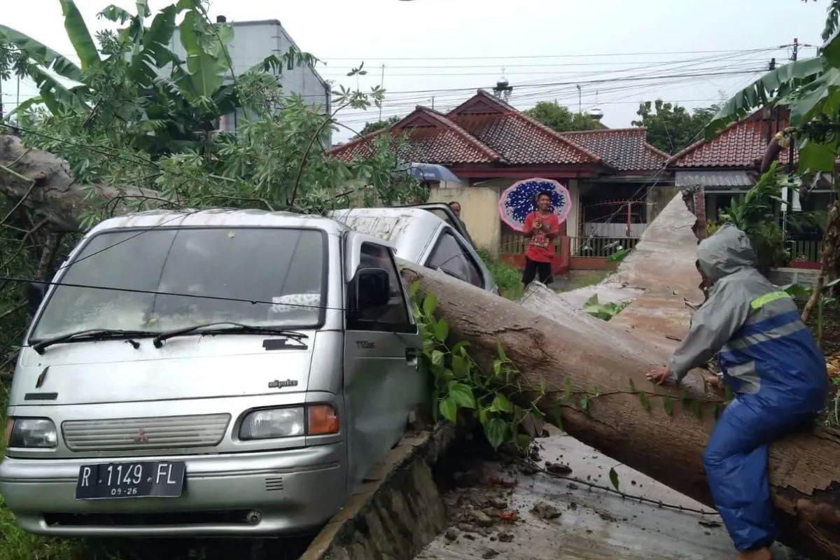 angin kencang, pohon tumbang, Hujan deras, Purbalingga, Hujan Deras dan Angin Kencang Terjang Purbalingga, Pohon Tumbang, Rumah Rusak, dan Listrik Padam