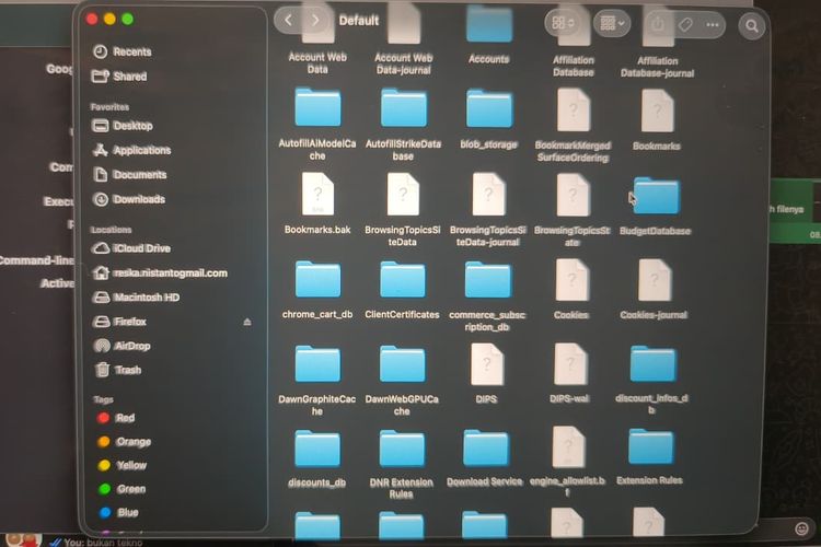 File, Chrome, Google, Saya Cari File AI 4 GB yang Disimpan Chrome Diam-diam, Benar Ada