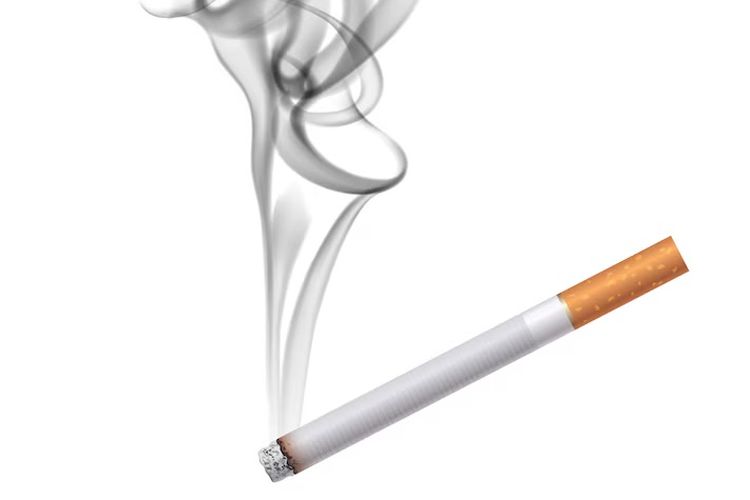 rokok, perokok, gibran, gerbong khusus merokok, gerbong khusus rokok, gerbong khusus perokok, gerbong untuk perokok, usul gerbong untuk perokok, Kontroversi Usulan Gerbong Perokok, Gibran Ingatkan Aturan Transportasi Bebas Rokok, Aturan Transportasi Bebas Rokok, Usul Gerbong Prioritas untuk Ibu Hamil dan Difabel, Usulan Gerbong Perokok dari DPR, PT KAI dan Kemenhub Tegas Menolak
