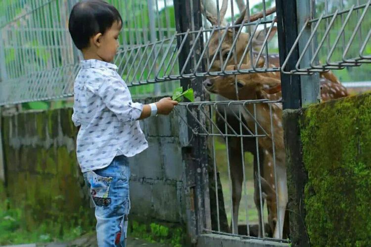 Mini Zoo Jogja Exotarium, Suraloka Interactive Zoo, Gembira Loka Zoo, Rekomendasi Kebun Binatang di Yogyakarta untuk Keluarga, Bisa Beri Makan Satwa