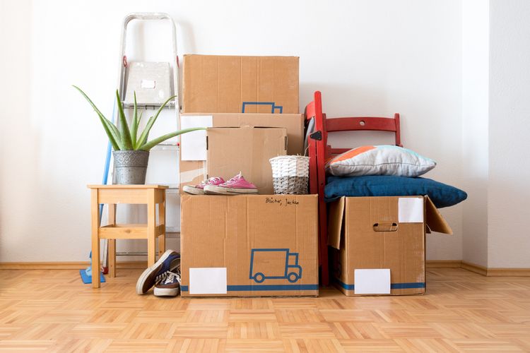 hoarding disorder, hoarding disorder adalah, menyimpan barang lama, sulit membuang barang, suka menimbun barang, menyimpan barang bekas, menyimpan komik, Kisah Ardi yang Sulit Buang Barang Lama, Ada Komik dari Tahun 2004, Alasan Ardi enggan membuang atau menjual barang lama, Barang bakal dijual atau dibuang dalam kondisi tertentu?, Suka menimbun barang apa termasuk hoarding disorder?, Beda kebiasaan menimbun barang dengan hoarding disorder