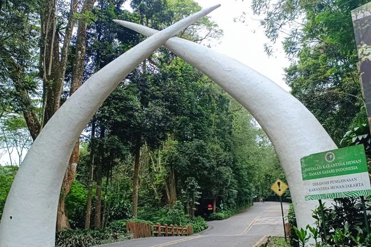 Taman Safari, Panduan Liburan Akhir Tahun ke Taman Safari: Atraksi hingga Antisipasi Macet, 1. Cek jadwal buka-tutup Jalur Puncak, 2. Perhatikan jadwal Car Free Night (CFN) Puncak, 3. Datang lebih pagi, 4. Sesuaikan jadwal pulang, 5. Pilih hari kunjungan dengan cermat, 6. Pantau kondisi lalu lintas secara real time, 7. Bawa persediaan makanan dan minuman
