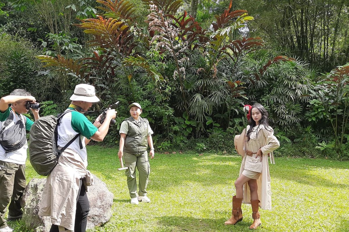 IAPVC, Taman Safari, iapvc 2025, lomba foto taman safari 2025, IAPVC 2025, Lomba Foto dari Taman Safari Berhadiah Ratusan Juta Rupiah, Total hadiah ratusan juta rupiah, Perlu observasi dan kesabaran, Enam kategori IAPVC 2025, Cara daftar IAPVC 2025