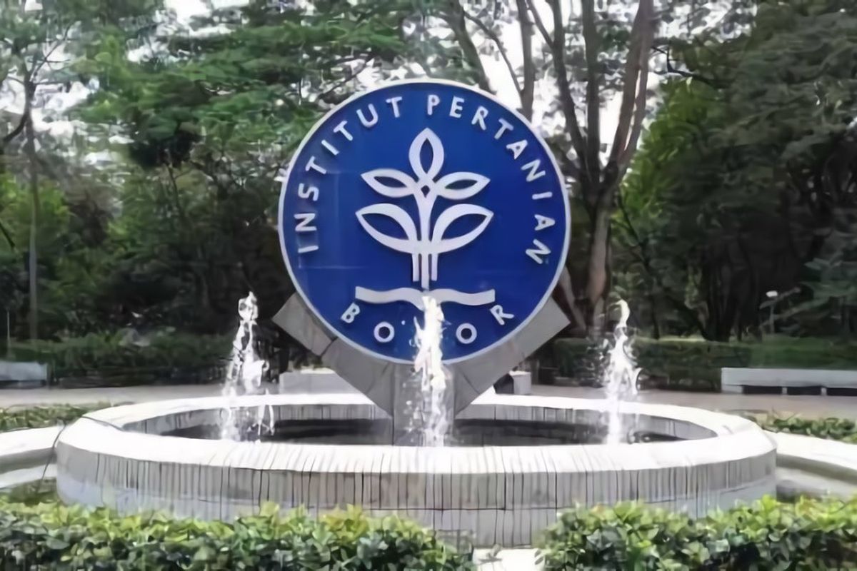 kampus negeri terbaik di Indonesia, universitas terbaik di indonesia, Kampus negeri terbaik di Indonesia, universitas terbaik di indonesia 2025, kampus negeri terbaik di indonesia 2025, universitas negeri terbaik di indonesia, universitas negeri terbaik di indonesia tahun 2025, 10 Universitas Negeri Terbaik di Indonesia Versi THE Interdisciplinary Science Rankings 2026, IPB Nomor 1, 1. Institut Pertanian Bogor, 2. Institut Teknologi Bandung (ITB), 3. Universitas Indonesia, 4. Institut Teknologi Sepuluh Nopember, 5. Universitas Gadjah Mada, 6. Universitas Airlangga, 7. Universitas Padjadjaran, 8. Universitas Diponegoro, 9. Universitas Brawijaya, 10. Universitas Sebelas Maret