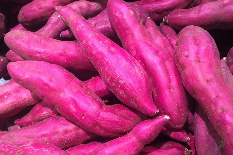 ubi ungu, cara memilih ubi ungu, Ciri-ciri Ubi Ungu yang Manis, cara memilih ubi ungu yang manis, Ciri-ciri Ubi Ungu yang Manis, Jangan Salah Beli, 1. Hindari ubi dengan bintik cekung, 2. Pilih yang bagian tengahnya gemuk, 3. Tekan ujungnya, 4. Perhatikan warna kulit, 5. Hindari ubi dengan serabut