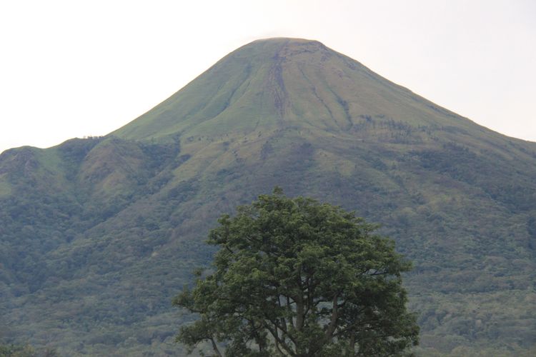 pendakian Gunung Arjuno, Pendakian Gunung Arjuno-Welirang Buka Lagi 7 Mei 2026, Pesan Tiket H-3