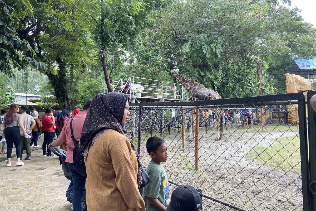 Nataru, libur Nataru, Jadwal “Feeding Time” Singa di Kebun Binatang Surabaya Saat Libur Nataru 2025/2026, Pengunjung Capai 15 Ribu Orang Sejak Siang Hari, Kesehatan Satwa Tetap Jadi Prioritas, Pengaturan Lalu Lintas dan Parkir Saat Puncak Nataru, Wahana Baru Jadi Daya Tarik Pengunjung