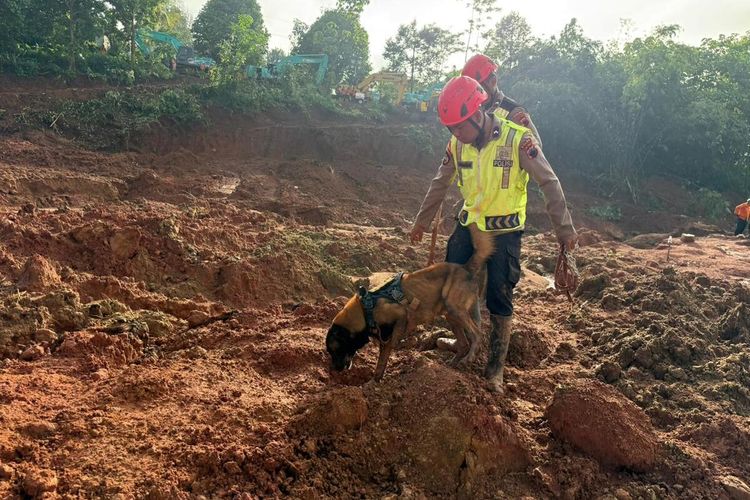 Banjarnegara, longsor banjarnegara, korban longsor banjarnegara, update longsor Banjarnegara, update longsor di banjarnegara, korban jiwa longsor banjarnegara, Update Longsor Banjarnegara: 3 Meninggal, 25 Warga Masih Hilang, 934 Mengungsi, 934 warga mengungsi di lima titik, 182 rumah rusak dan infrastruktur desa terdampak, Kebutuhan mendesak, 521 personel gabungan diturunkan