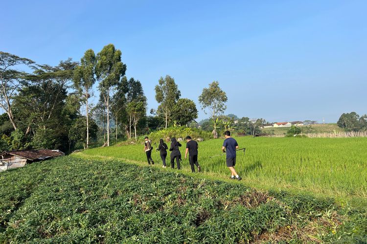 Rumah Atsiri, Glamping di Tawangmangu Ini Tawarkan Aktivitas Menarik, Jangan Cuma Tidur, Jelajah Museum Rumah Atsiri, Ikut workshop bikin parfum, Javanese wellness di Atsiri Jawa, Jalan-jalan santai di perdesaan sekitar Rumah Atsiri