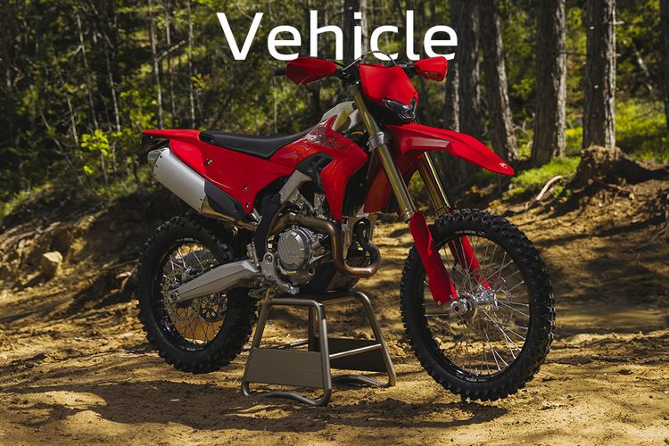 Ducati, Ducati Desmo450 EDS, Ducati Resmi Luncurkan Desmo450 EDS, Mesin Desmodromic